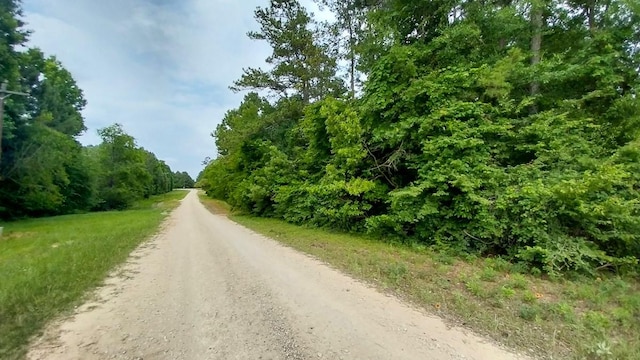1 Nursery Rd, Livingston, TX 77351