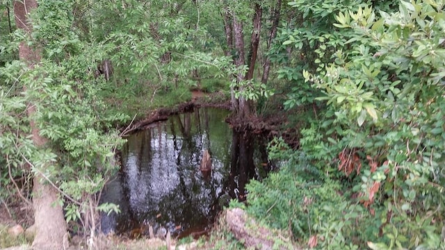 1 Nursery Rd, Livingston, TX 77351