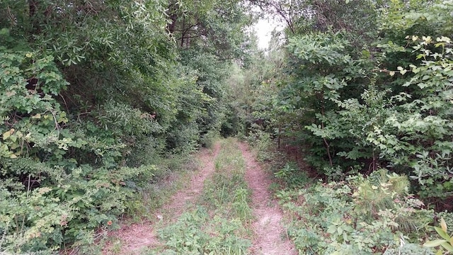 1 Nursery Rd, Livingston, TX 77351