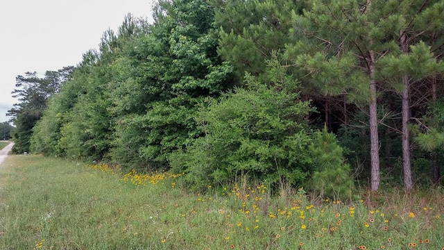 1 Nursery Rd, Livingston, TX 77351