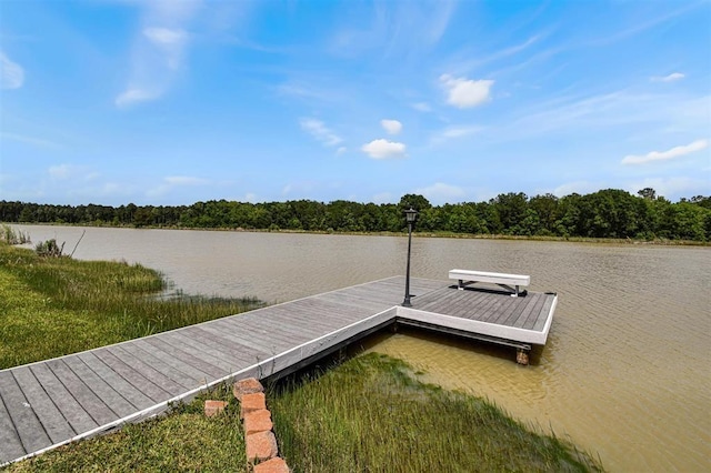 27140 Fm 365, Beaumont, TX 77705 - dock area featuring a water view and a forest view
