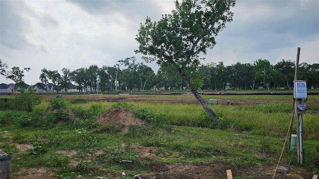 9927 N Hunters Run Dr, Missouri City, TX 77459 - view of yard