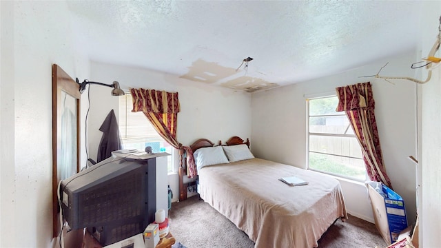 6130 Hartwick Rd, Houston, TX 77016 - bedroom with a textured ceiling and carpet