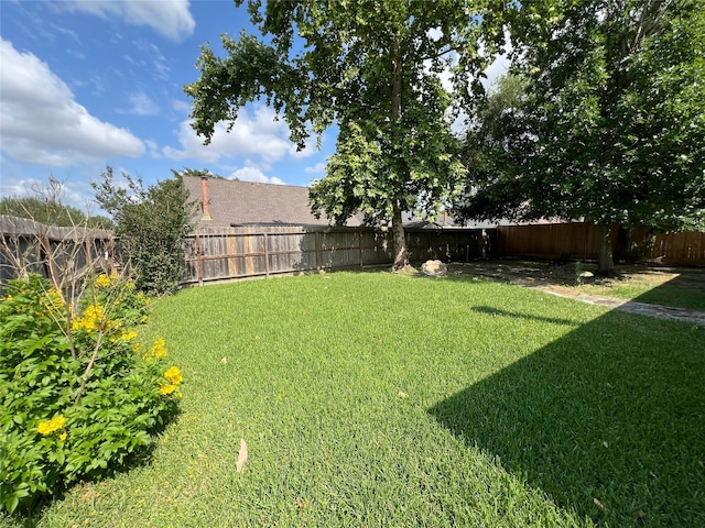 2134 Collingsfield Dr, Sugar Land, TX 77478 - view of yard