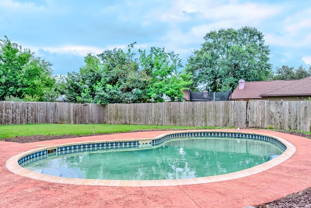 3920 Blackberry Ln, Port Arthur, TX 77642 - view of swimming pool