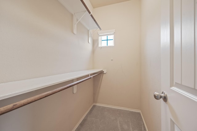 2827 Arica Ln, Spring, TX 77373 - walk in closet with light carpet