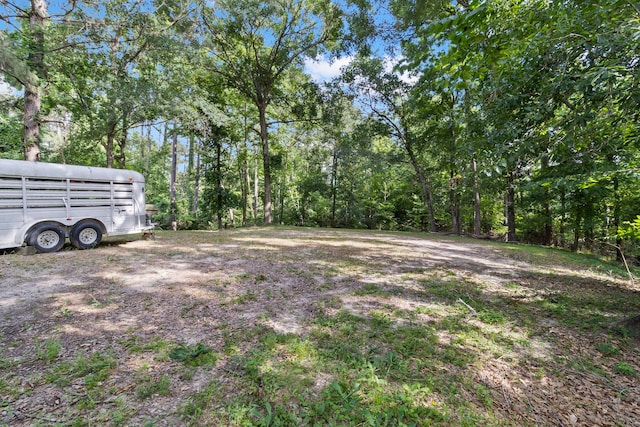285 Tijuana, Goodrich, TX 77335 - photo 20