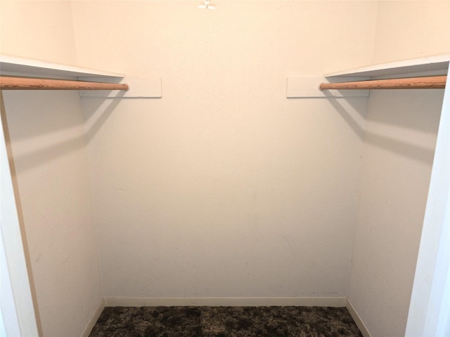 1205 Appling St, El Campo, TX 77437 - view of walk in closet