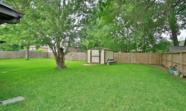 12662 Hackberry Dr, Willis, TX 77318 - view of yard