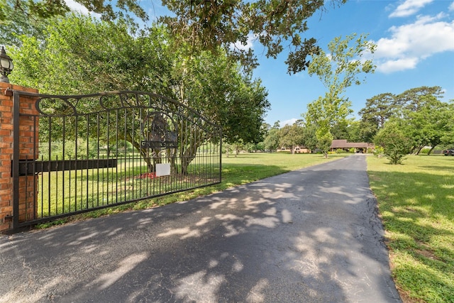 12625 Huffmeister Rd, Cypress, TX 77429 - view of asphalt driveway featuring a gate and a gated entry