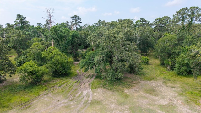 12625 Huffmeister Rd, Cypress, TX 77429 - view of local wilderness
