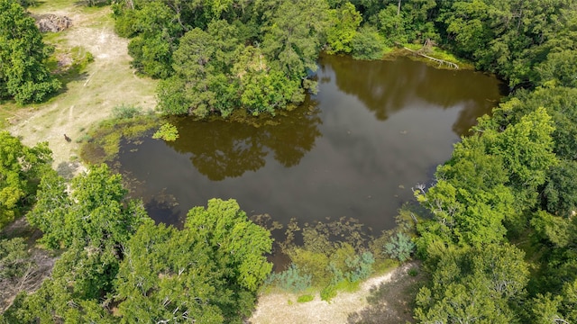 12625 Huffmeister Rd, Cypress, TX 77429 - bird's eye view of a large body of water and a forest