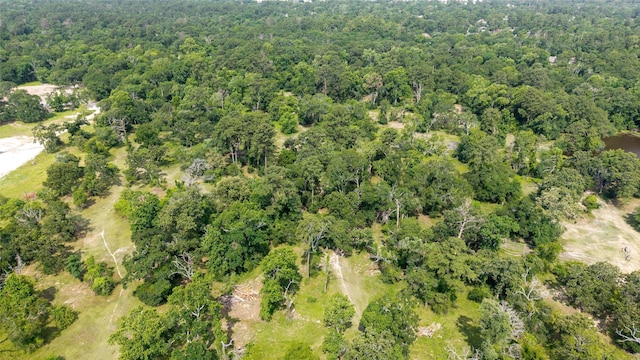 12625 Huffmeister Rd, Cypress, TX 77429 - aerial view of property and surrounding area featuring a heavily wooded area