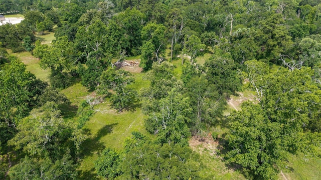 12625 Huffmeister Rd, Cypress, TX 77429 - view of property location with a heavily wooded area