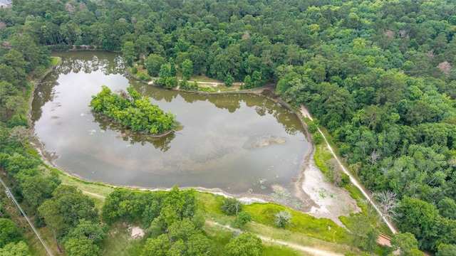 1706 Maddie Springs Ct, Spring, TX 77386 - bird's eye view of a nearby body of water and a heavily wooded area