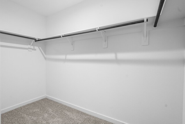 405 Amy St, Angleton, TX 77515 - walk in closet with carpet