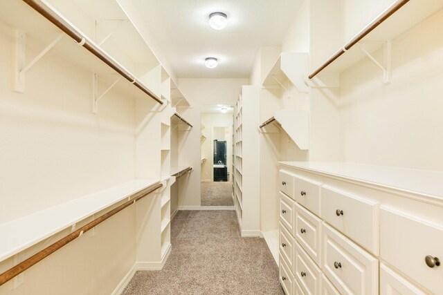 1 Heritage Oak Ct, Lake Jackson, TX 77566 - spacious closet with light colored carpet