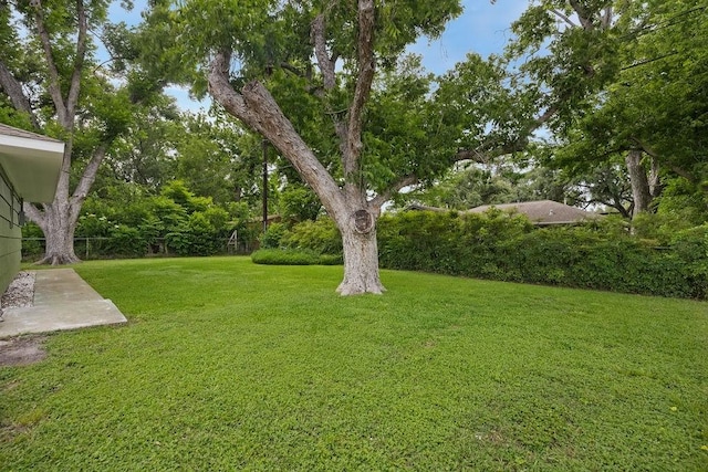4502 Lido Ln, Houston, TX 77092 - view of grassy yard