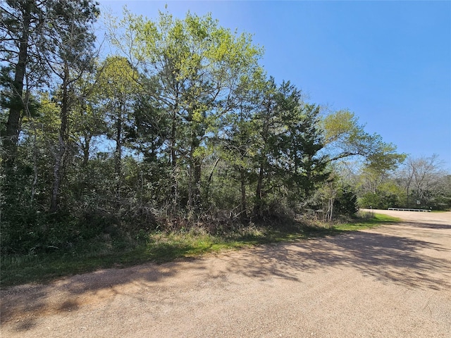 0 Park View Dr, Hempstead, TX 77445