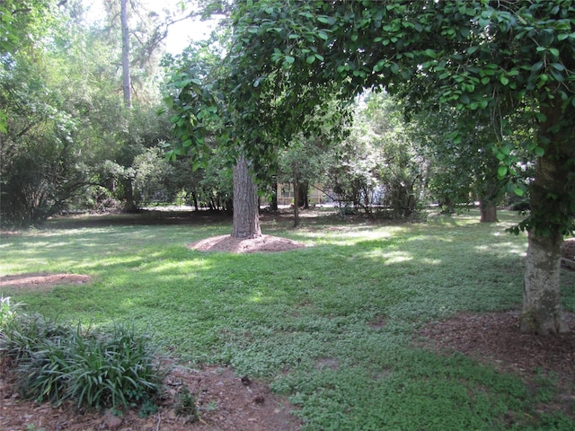 21315 Greengate Dr, Spring, TX 77388 - view of grassy yard