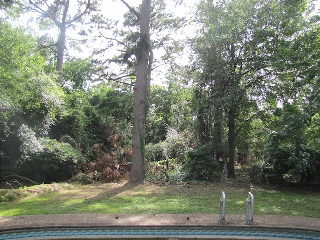 21315 Greengate Dr, Spring, TX 77388 - view of pool featuring a yard