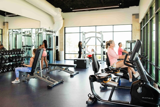 4609 Peony Green Dr, Katy, TX 77493 - view of exercise room