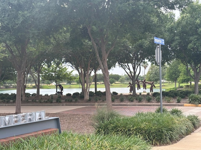 442 Imperial Blvd, Sugar Land, TX 77498 - view of home's community featuring a water view