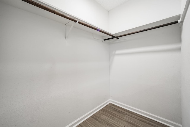 22519 Elkana Deane Ln, Katy, TX 77449 - walk in closet with dark wood-style flooring