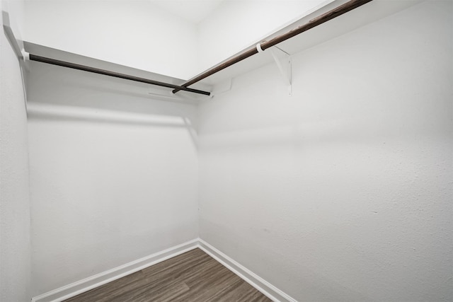 22519 Elkana Deane Ln, Katy, TX 77449 - spacious closet with dark wood-style floors