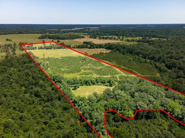 R13687 Cheeseland Rd, Pollok, TX 75969