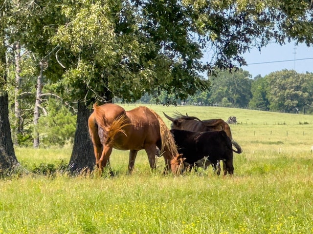 R13687 Cheeseland Rd, Pollok, TX 75969