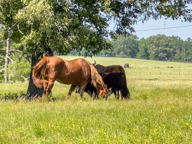 R13687 Cheeseland Rd, Pollok, TX 75969