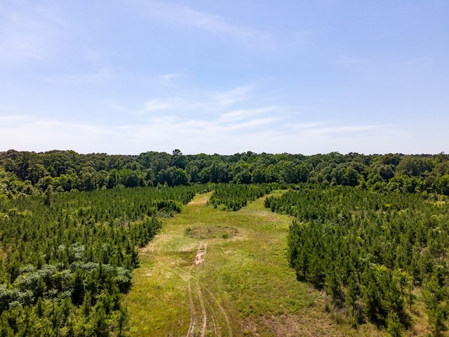 R13687 Cheeseland Rd, Pollok, TX 75969