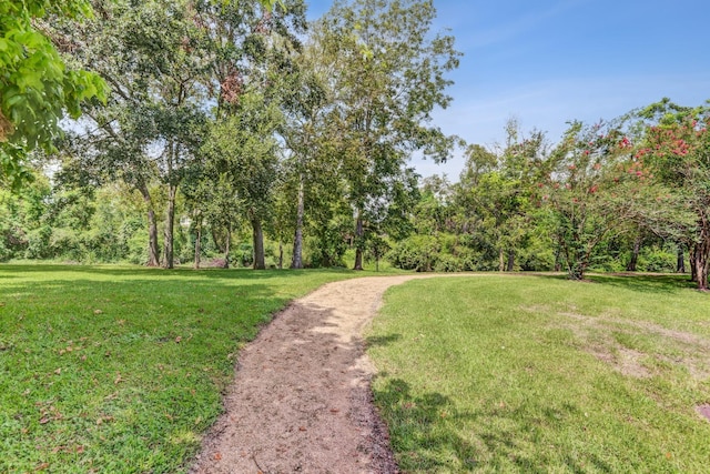 10502 Ginger Gln, Missouri City, TX 77459 - view of grassy yard