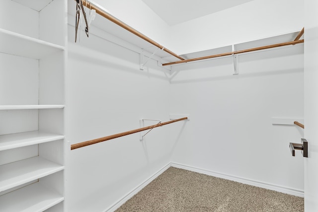 36 Jamaica Ln, Normangee, TX 77871 - view of spacious closet