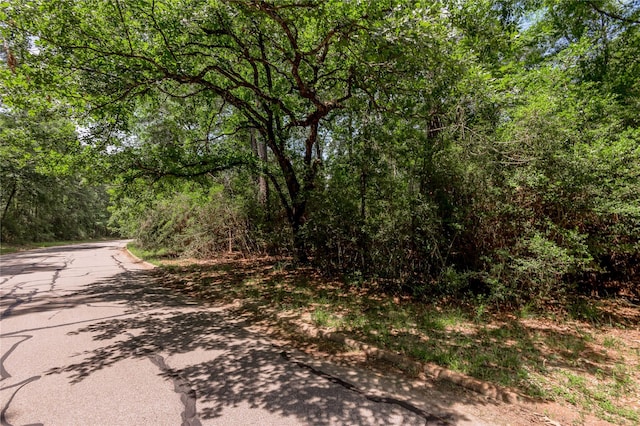 TBD Doral Dr, Huntsville, TX 77320