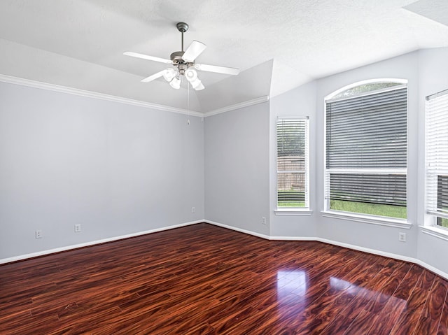 25203 Auburn Terrace Dr, Spring, TX 77389 - spare room featuring wood finished floors, plenty of natural light, a ceiling fan, lofted ceiling, and baseboards