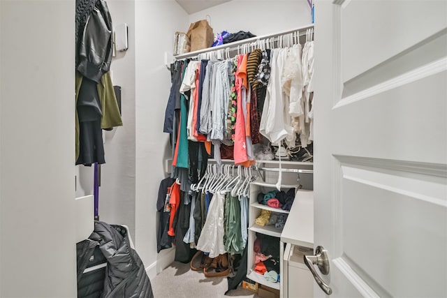 2818 Grand Fountains Dr Unit C, Houston, TX 77054 - walk in closet featuring carpet floors