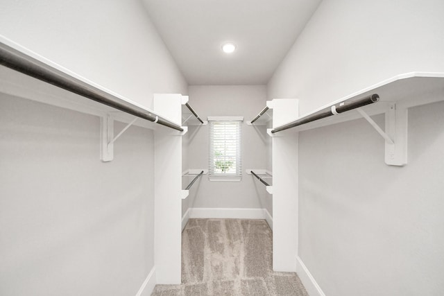 30702 Barred Owl Way, Brookshire, TX 77423 - walk in closet featuring light colored carpet