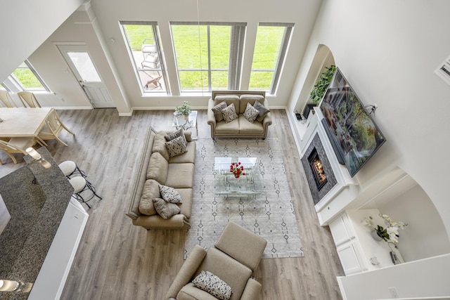 10522 Kirkwell Manor Ct, Spring, TX 77379 - living area featuring wood finished floors, a warm lit fireplace, a high ceiling, and baseboards