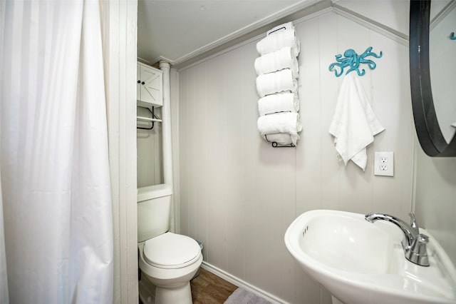 1981 County Road 291, Sargent, TX 77414 - bathroom featuring a sink, toilet, and wood finished floors