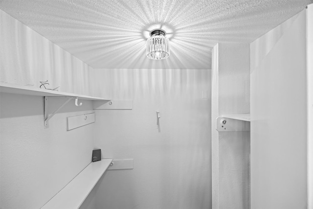 16631 Quiet Quail Dr, Missouri City, TX 77489 - view of spacious closet