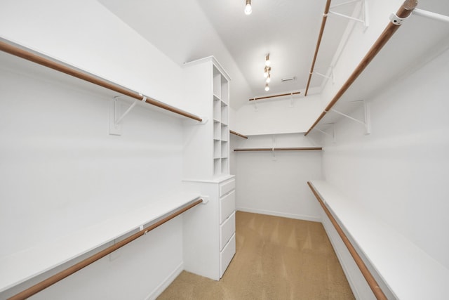 22127 Glen Arden Ln, Katy, TX 77450 - walk in closet with light carpet