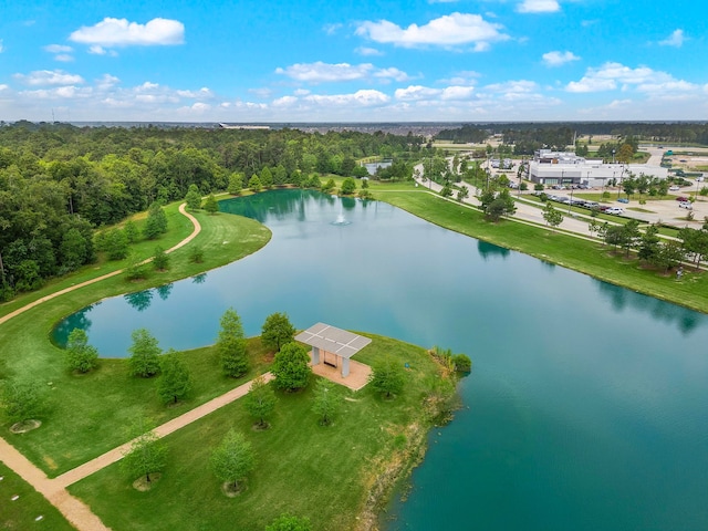 4021 Windsor Chase Dr, Spring, TX 77386 - aerial view of a large body of water