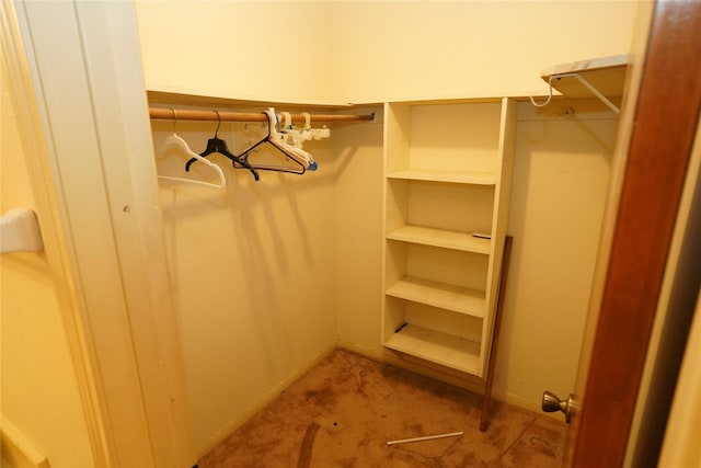 1501 N Park Side Dr, Deer Park, TX 77536 - spacious closet with carpet floors