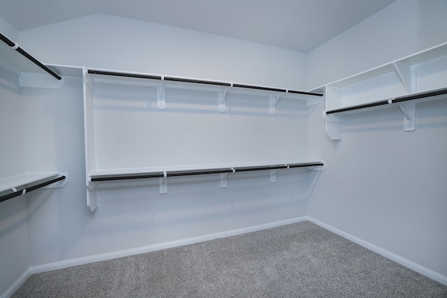 26449 Lakeshore Dr, Hempstead, TX 77445 - walk in closet with carpet flooring