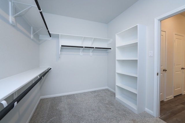 26449 Lakeshore Dr, Hempstead, TX 77445 - walk in closet with dark carpet