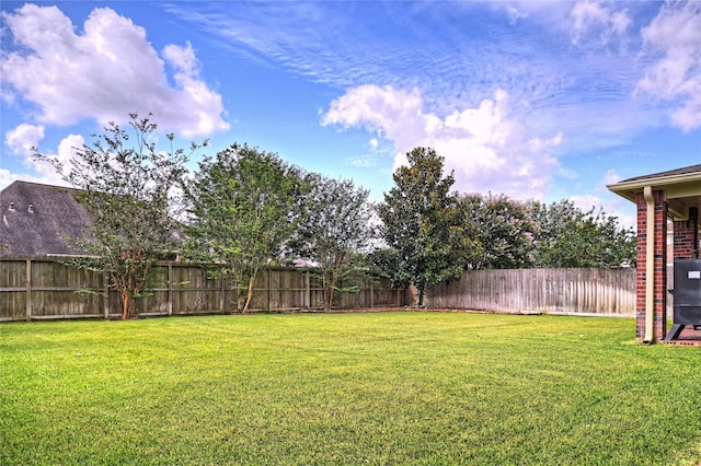 8507 Marchelle Ln, Spring, TX 77379 - view of yard