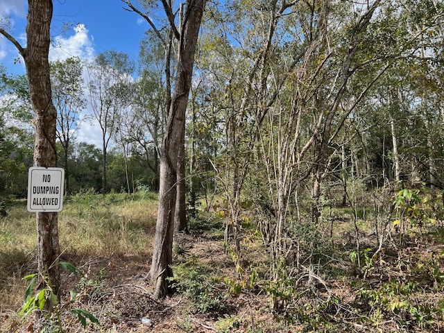 000 S Oak Bend Dr, Alvin, TX 77511