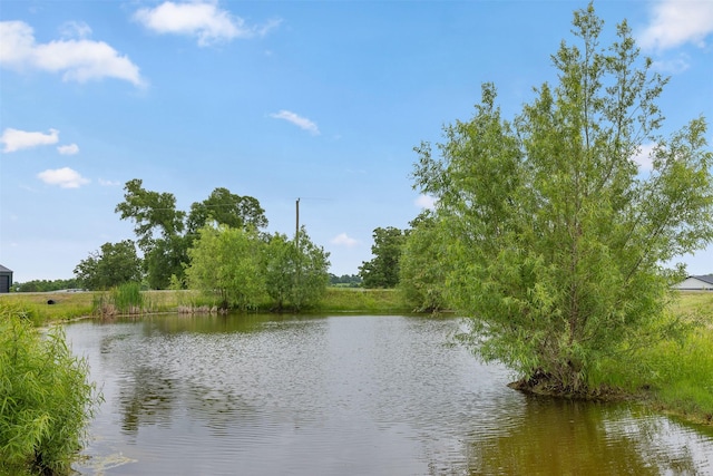 5292 Horseshoe Dr, Anderson, TX 77830 - water view